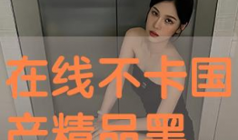 国产精品自拍在线观看,在线观看，尽享视觉盛宴